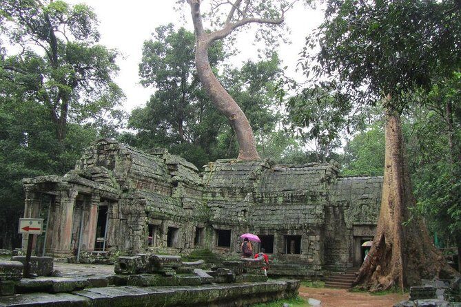 Angkor Wat Sunrise Guided Join-In Tour/Private Tour - Booking style: join-in shared tour vs private convenience