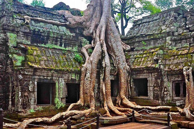 Angkor Wat: Sunrise or Sunset Tours with Tuk Tuk - Price and value: $32 gets you transport plus English help
