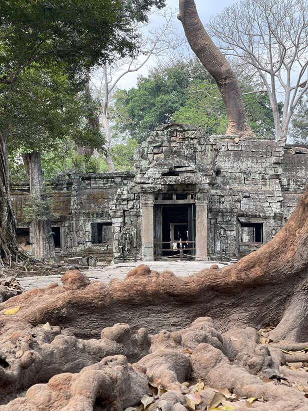 Angkor Wat Sunrise Private Full Day Tour - Terrace of the Elephants and the photo stop strategy