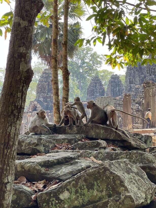 Angkor Wat Sunrise Private Full Day Tour - Angkor Thom highlights: Victory Gate, Leper King, Baphuon, Bayon