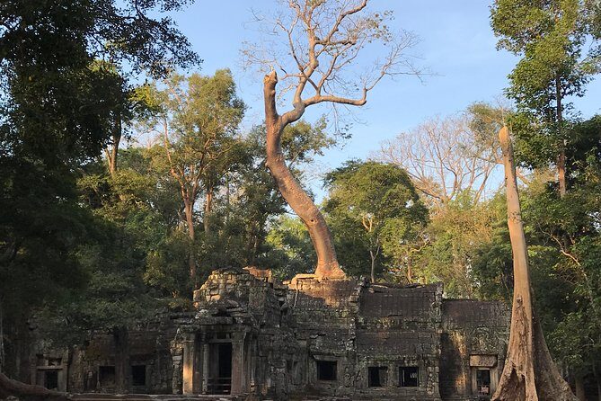 Angkor Wat Sunrise Private Tour by Vintage Jeep - Why a vintage Jeep makes Angkor Wat sunrise feel different