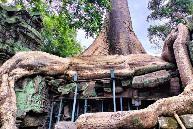 Angkor Wat Sunrise, Ta Promh, Banteay Srei, Bayon Private Tour - Banteay Srei: Small Temple, Big Carving Detail