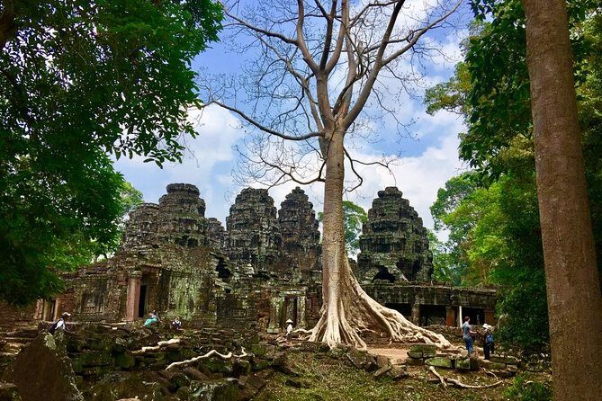 Angkor Wat Sunrise, Ta Promh, Banteay Srei, Bayon Private Tour - The Guides Matter: What the Reviews Reveal
