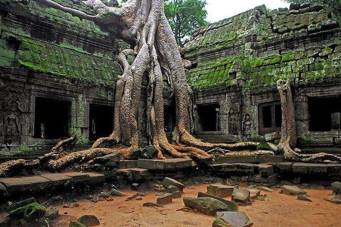 Angkor Wat Sunrise Tour - Ta Prohm’s Tree Roots and the Tomb Raider Feeling