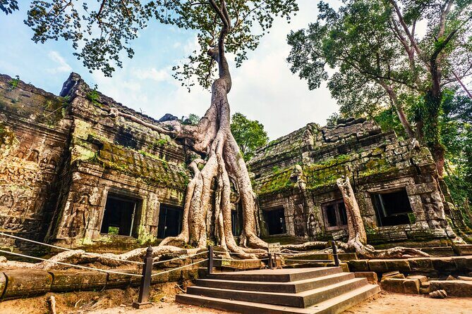 Angkor Wat, Ta Promh, Banteay Srei, Bayon temples Private Tour - Why this Angkor circuit works so well for first-timers