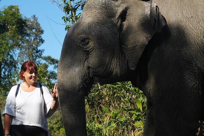 Angkor Wat Temples & Kulen Elephant Forest Day Tour - Key things to know before you go