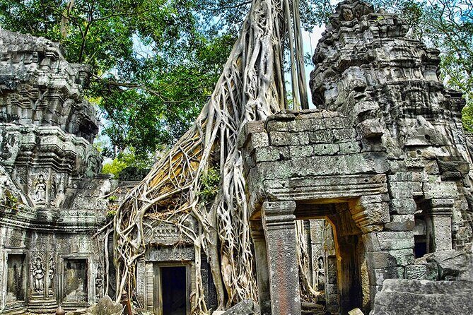Angkor Wat Temples & Kulen Elephant Forest Day Tour - Stop 3: Ta Prohm, the tree roots that change the mood