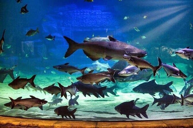 Angkor Wildlife & Aquarium Halfday tour - Price Breakdown: Is $29 Good Value in Real Life?