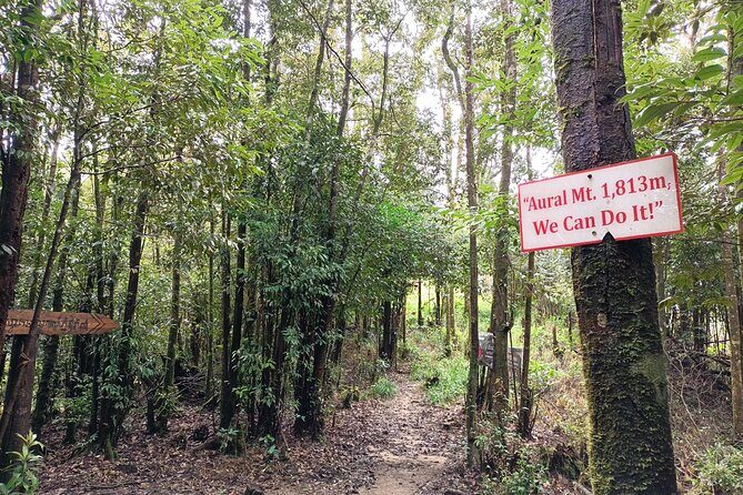 Aural Mountain Trek: Cambodia Tallest Peak Challenge - Day 2: Base Camps, Heat, and the Aural Mountain (1813 m) Summit