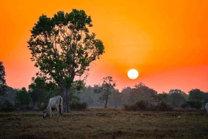 Authentic Siem Reap: Tuk Tuk Countryside and Sunset Tour - Key Points You’ll Care About