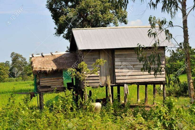 Back to Basics: Siem Reap Village Tour in Cambodia - Key highlights worth planning around