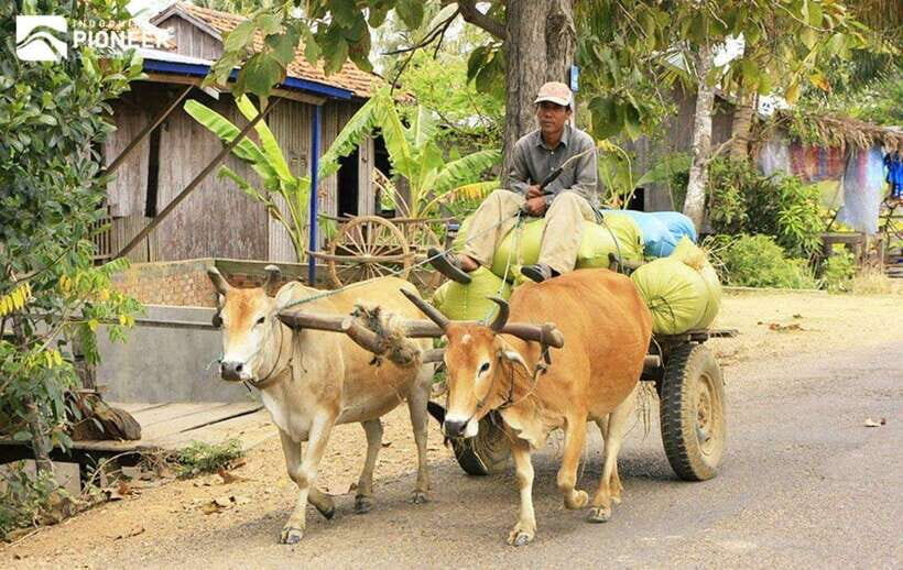 Back to Basics: Siem Reap Village Tour in Cambodia - Lunch with a host family: the part that turns facts into understanding