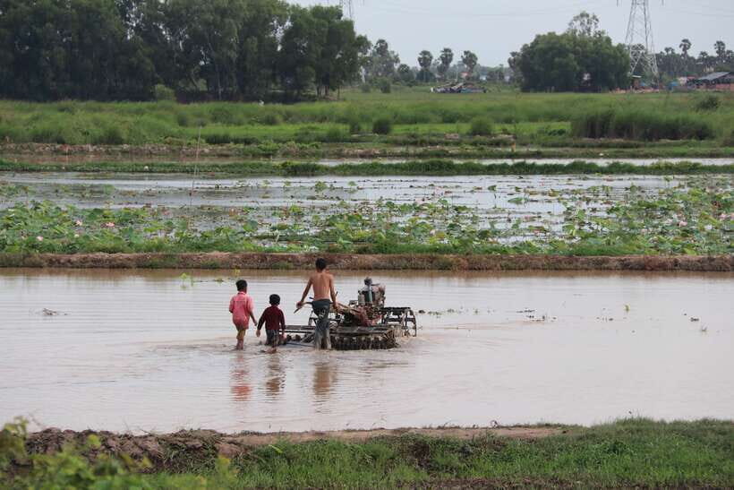 Back to Basics: Siem Reap Village Tour in Cambodia - Price and value: is $65 for 4 hours fair?