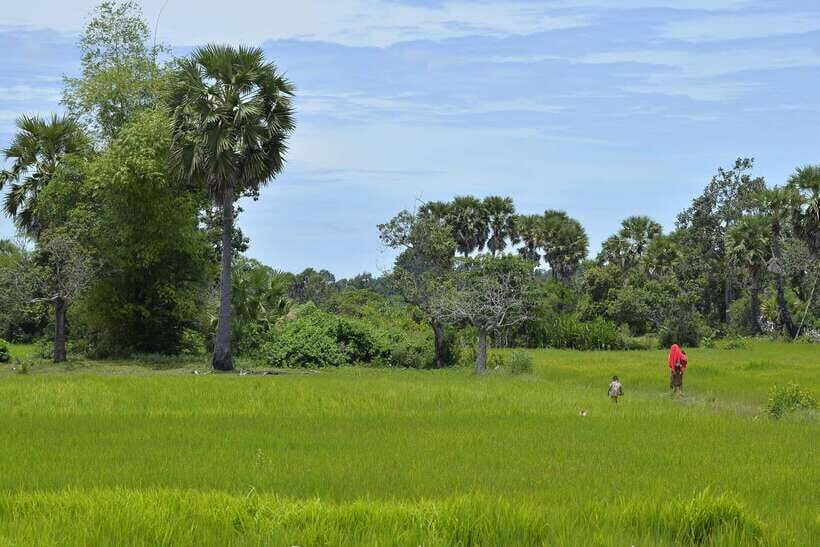 Back to Basics: Village Life Tour from Siem Reap - Getting Picked Up and Rolling Out in Tuk-Tuk Style