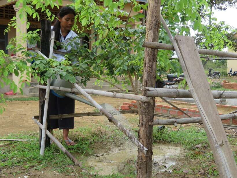 Back to Basics: Village Life Tour from Siem Reap - First Steps in the Village: Water, Firewood, and Simple Work