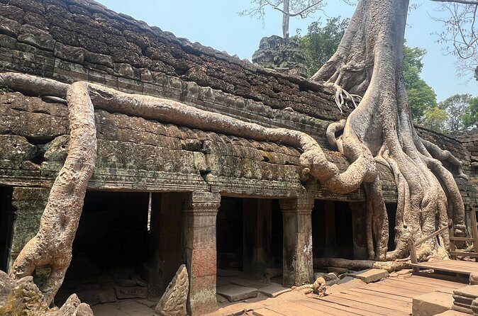 Bangkok to Angkor Wat 2 Days 1 Night tour by flight - Overnight in Siem Reap: standard hotel and room choice