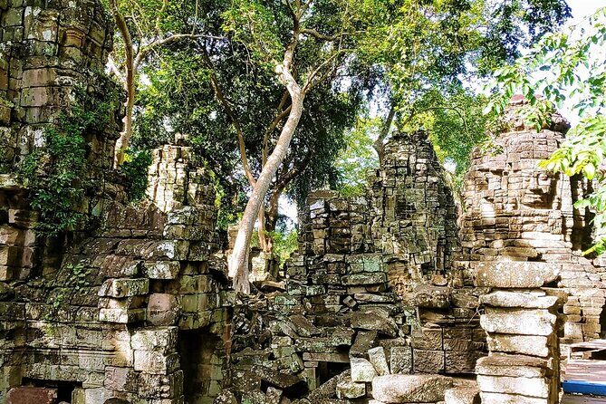 Banteay Chhmar Temple & Silk Farm Private Day Trip from Siem Reap - Angkor Silk Farm: From Silkworms to Finished Fabric