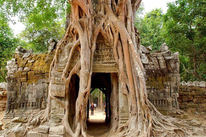 Banteay Srei & Angkor Big Circuit Tour - Price and what you actually pay (tickets change the math)