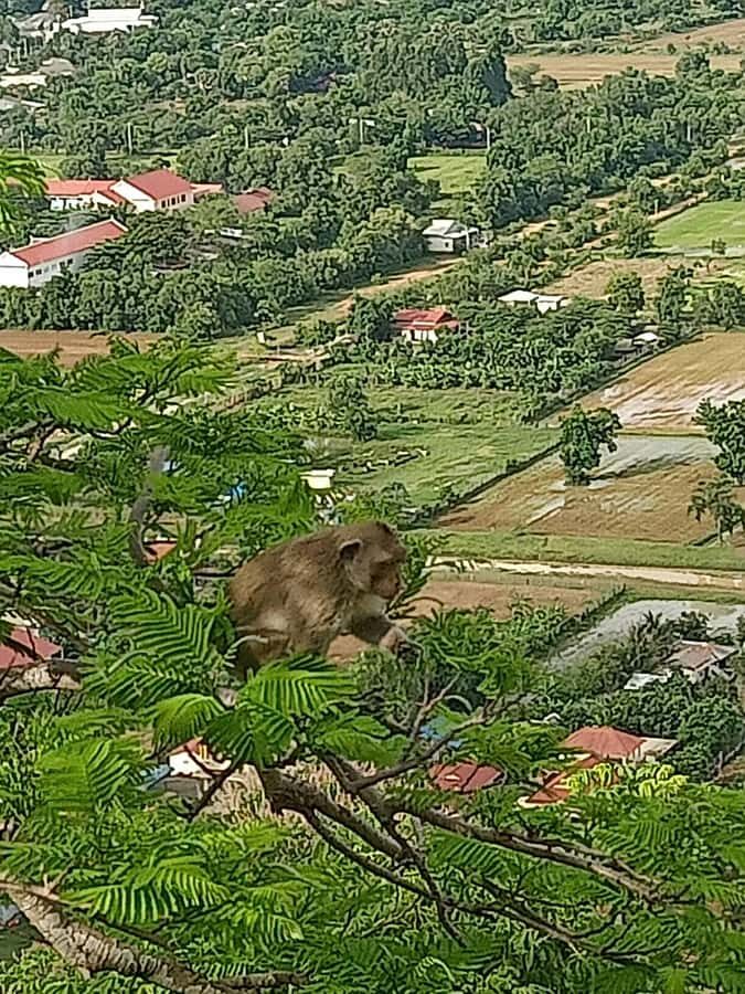 Battambang Full Day Tour from Siem Reap - Wat Banan Temple: The 365 Stairs and the View From the Plateau
