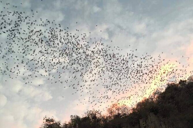 Battambang Private afternoon tour bamboo train bat cave & village - Key points that make this tour worth it