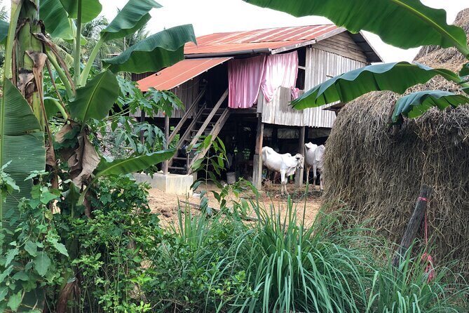 Battambang Private afternoon tour bamboo train bat cave & village - Private tuk-tuk pickup and the guide you actually want