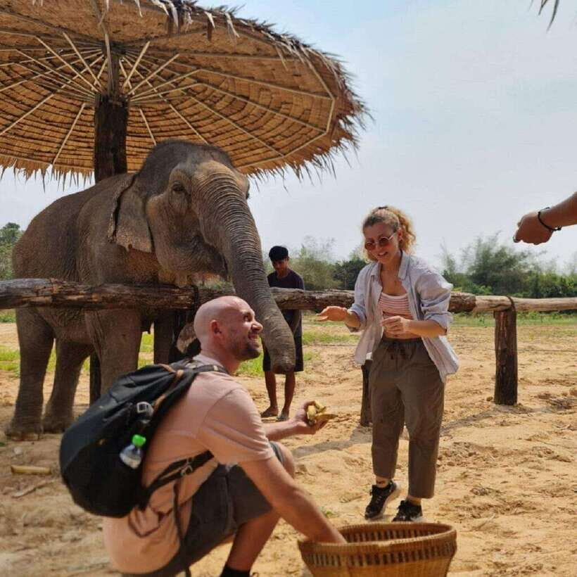 Cambodia Elephant Sanctuary and Banteay Srey Temple Tour - Key highlights to know before you go