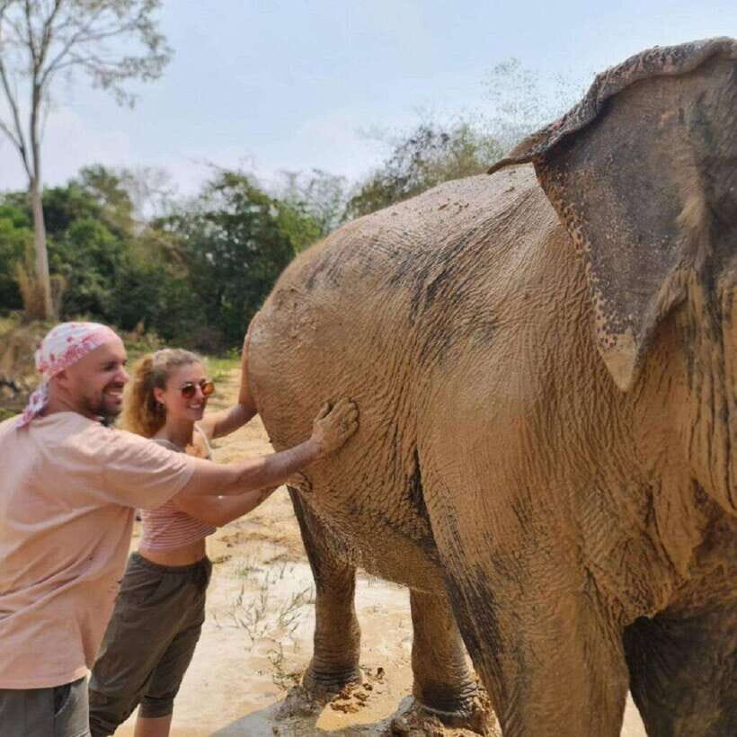 Cambodia Elephant Sanctuary and Banteay Srey Temple Tour - Small details that make the difference