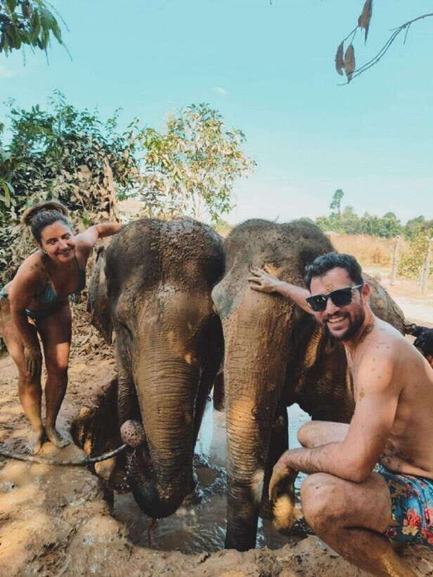 Cambodia Elephant Sanctuary and Banteay Srey Temple Tour - Elephant Cooking Activity: how the day starts in Siem Reap