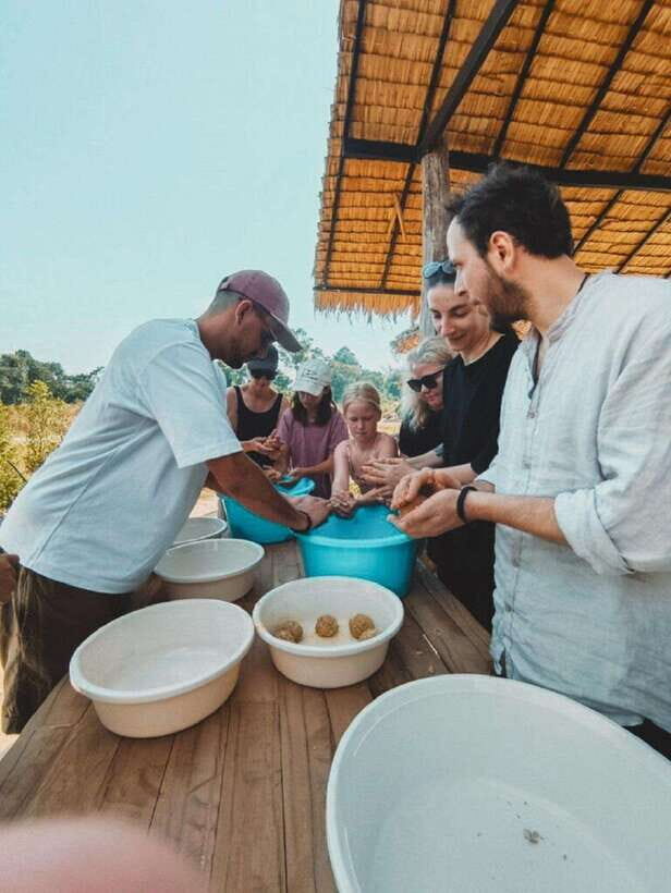 Cambodia Elephant Sanctuary and Banteay Srey Temple Tour - Timing, transport, and what the day actually feels like