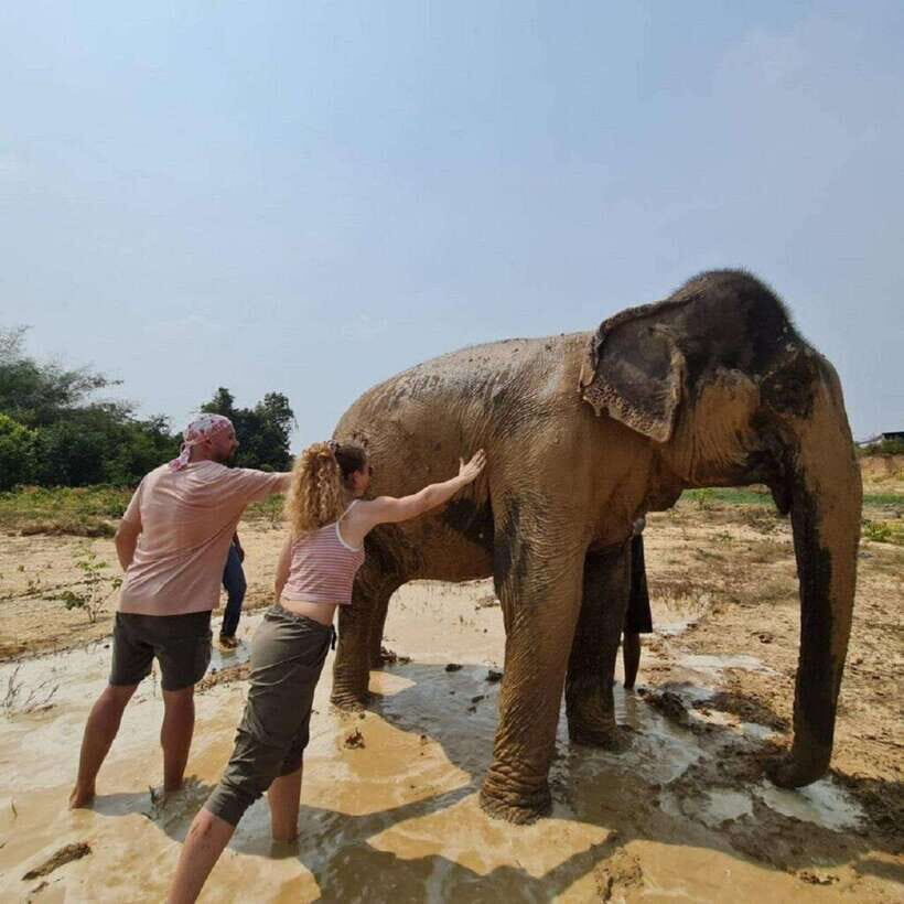 Cambodia Elephant Sanctuary and Banteay Srey Temple Tour - Price and value: what $71 really buys you