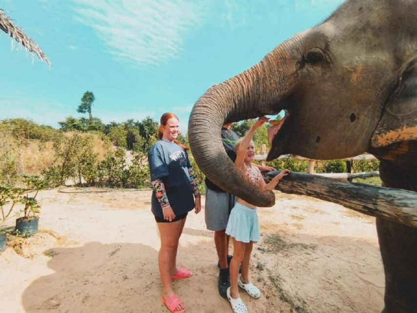 Cambodia Elephant Sanctuary and Banteay Srey Temple Tour - Who this tour fits best (and who should think twice)