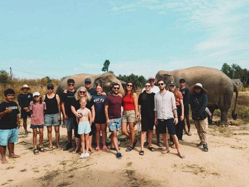 Cambodia Elephant Sanctuary and Banteay Srey Temple Tour - Walking with elephants: what the best moments feel like