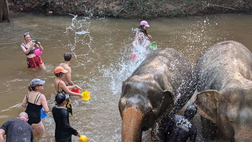 Cambodia Elephant Sanctuary Include Hotel Transfer Roundtrip - Should you book this Cambodia Elephant Sanctuary tour?
