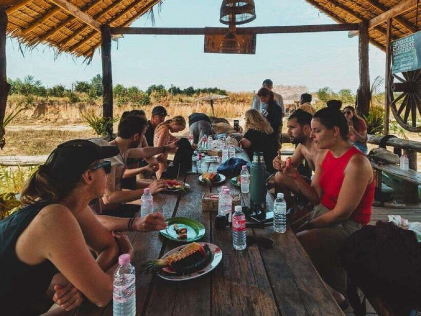 Cambodia Elephant Sanctuary Include Hotel Transfer Roundtrip - Getting there from Krong Siem Reap: transfer + timing that actually works