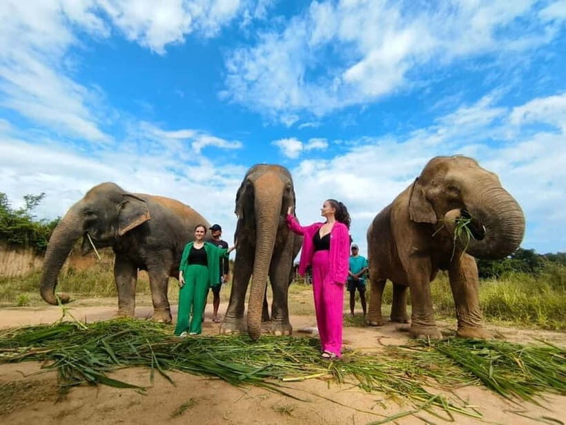 Cambodia Elephants Haft Day Experiences from Siem Reap - Key things to know before you go