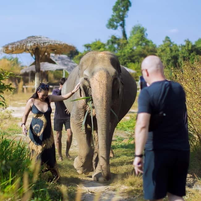 Cambodia Elephants Haft Day Experiences from Siem Reap - The $98 Price: Where You’re Getting Value