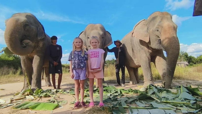 Cambodia Elephants Haft Day Experiences from Siem Reap - Cows for Cambodia Farm: Local Snacks, a Guided Walk, and Wildlife Viewing
