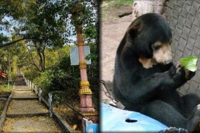 Cambodia Wildlife Sanctuary and Countryside Tour - Phnom Tamao Wildlife Rescue Centre: the behind-the-scenes part you’ll actually remember