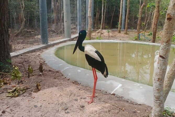 Cambodia Wildlife Sanctuary and Countryside Tour - Price and value: what $159 buys (and where it’s worth spending)