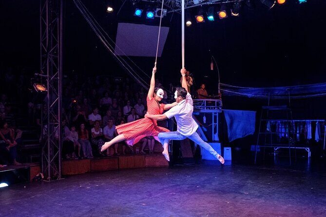 Cambodian Circus Show in Siem Reap by Phare with Hotel Pick-Up - Phare Ponleu Selpak: what your ticket supports