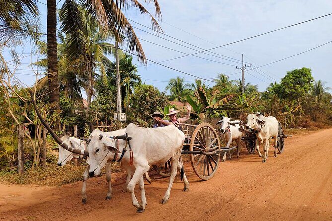 Cambodian Cooking Class and Oxcart Ride with Local Village Tour - The private ox cart ride: quiet countryside, slower pace