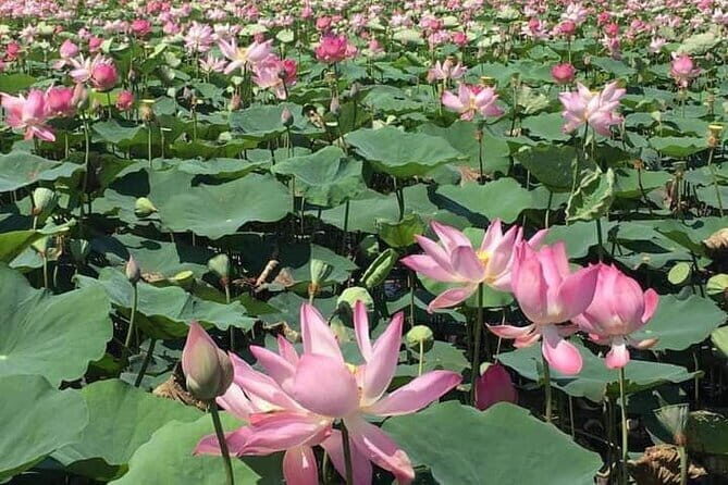 Chiso temple, Neang khmao, and Taprum temple historical site Tour - Tonle Bati: the local-lake pause that breaks up temple time