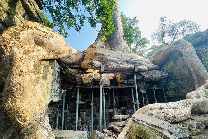 Discover Cambodia’s Heart: Siem Reap to Battambang Tours - Why Siem Reap to Battambang Feels Different