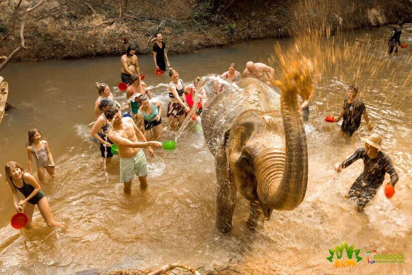 Elephant Sanctuary Cambodia, Pickup and drop off included - What This Sanctuary Visit Is Really About