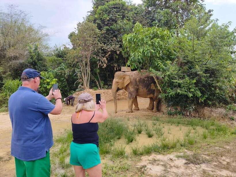 Elephant Sanctuary Cambodia, Pickup and drop off included - Pond or River Bathing: Where Photos Make Sense