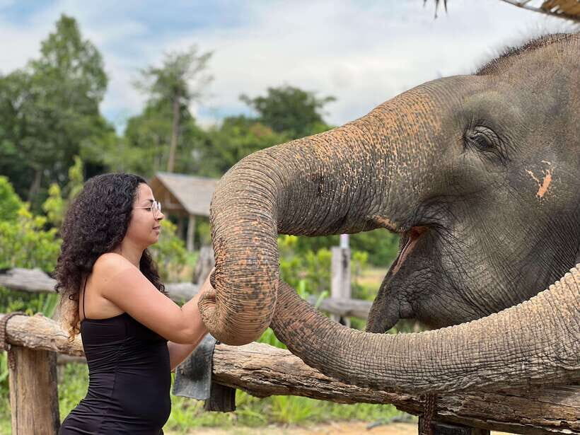 Elephant Sanctuary Cambodia, Pickup and drop off included - Siem Reap Pickup: The Smooth Start (and Why It Matters)