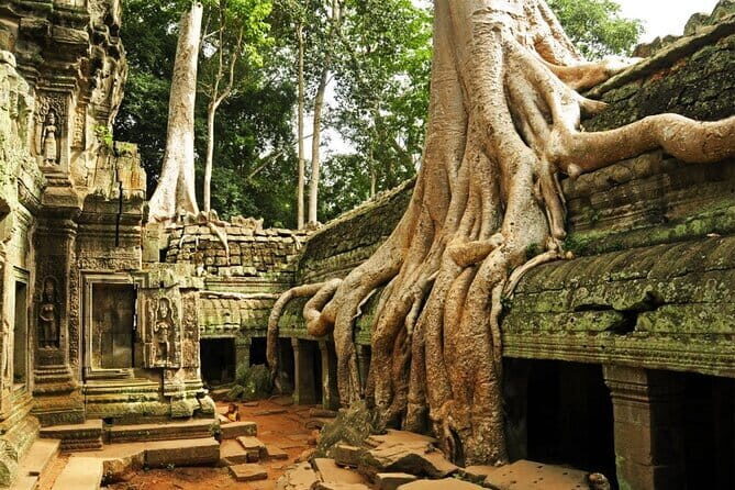 Exclusive Angkor temples and Small group temples tours - Key things to love about this Angkor temples tour
