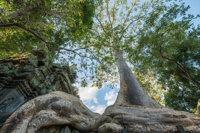 Exclusive Angkor temples and Small group temples tours - A more comfortable Angkor day: van, guide, and fewer headaches
