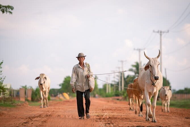 Explore Angkor Wat Sunrise Small Tour Private VIP Car - Phimeanakas and Baphuon: Quick Stops with Strong Payoff