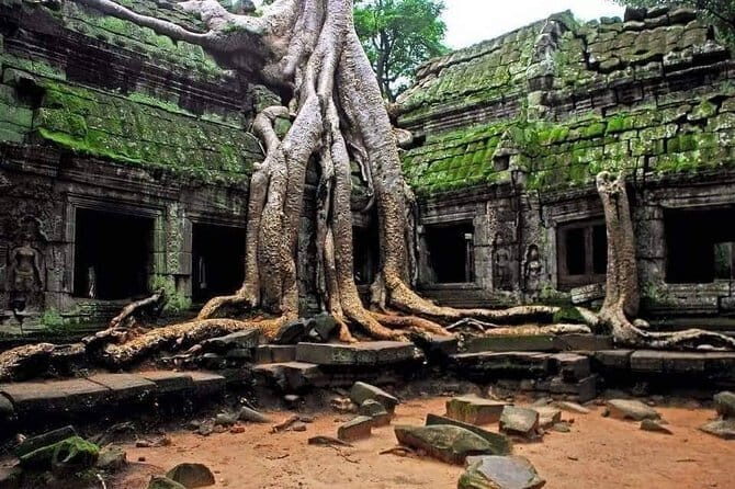 Explore Angkor Wat Sunrise Small Tour Private VIP Car - Private VIP Car Comfort in Siem Reap: More Than a Luxury